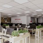 Văn phòng xanh với nhiều cây và ánh sáng tự nhiên